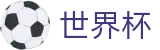 2026世界杯竞猜网站(FIFA World Cup)中国竞彩指定平台